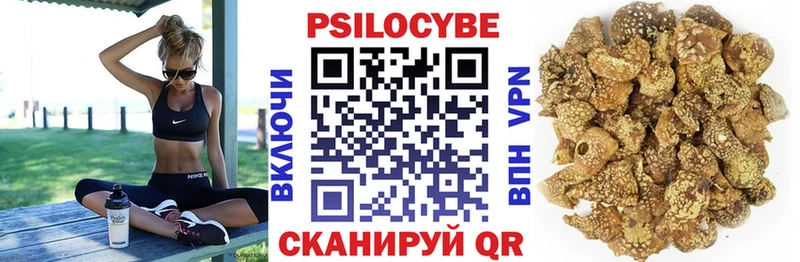 Псилоцибиновые грибы Psilocybine cubensis  Конаково 